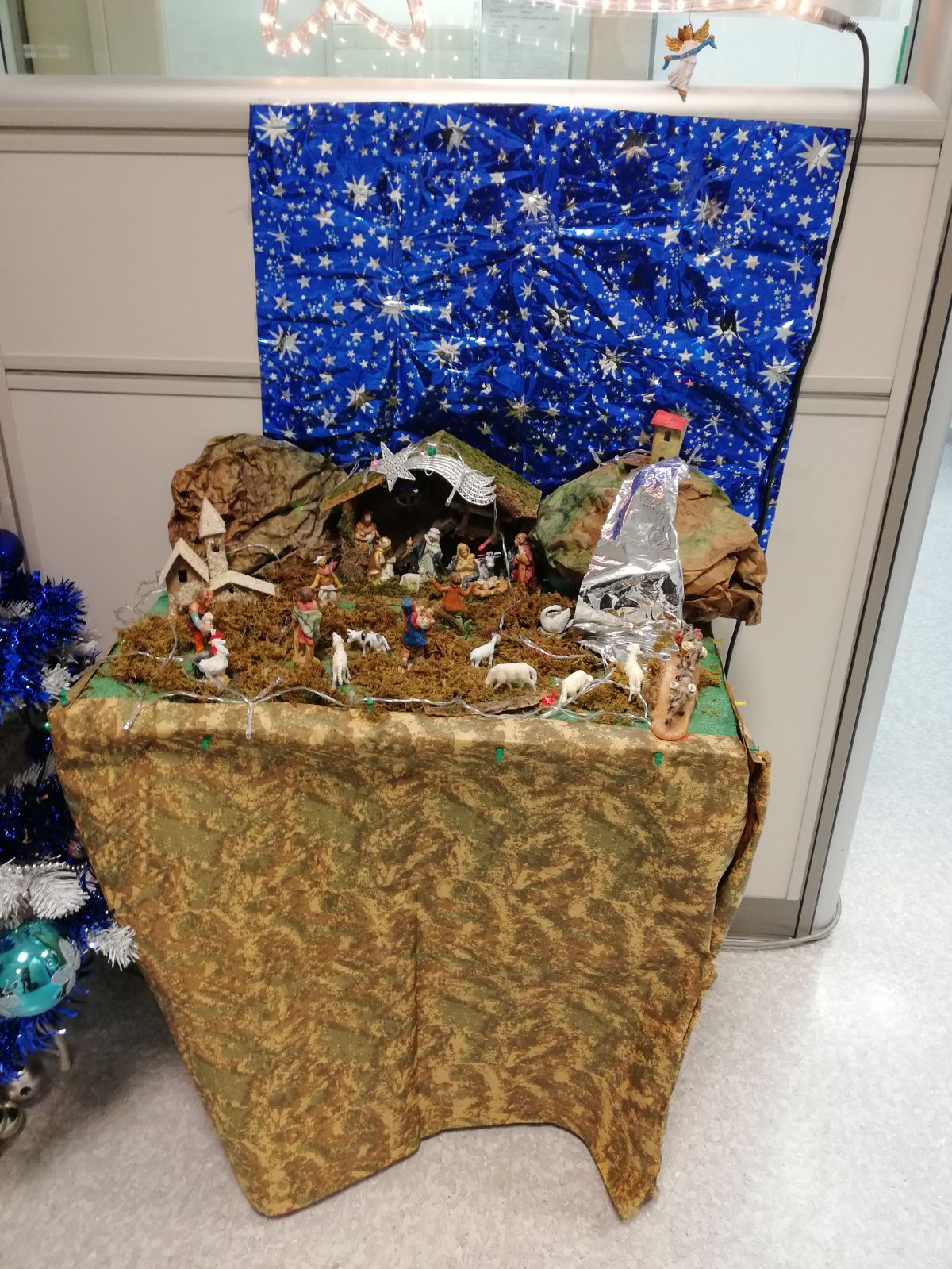 Immagine galleria 24