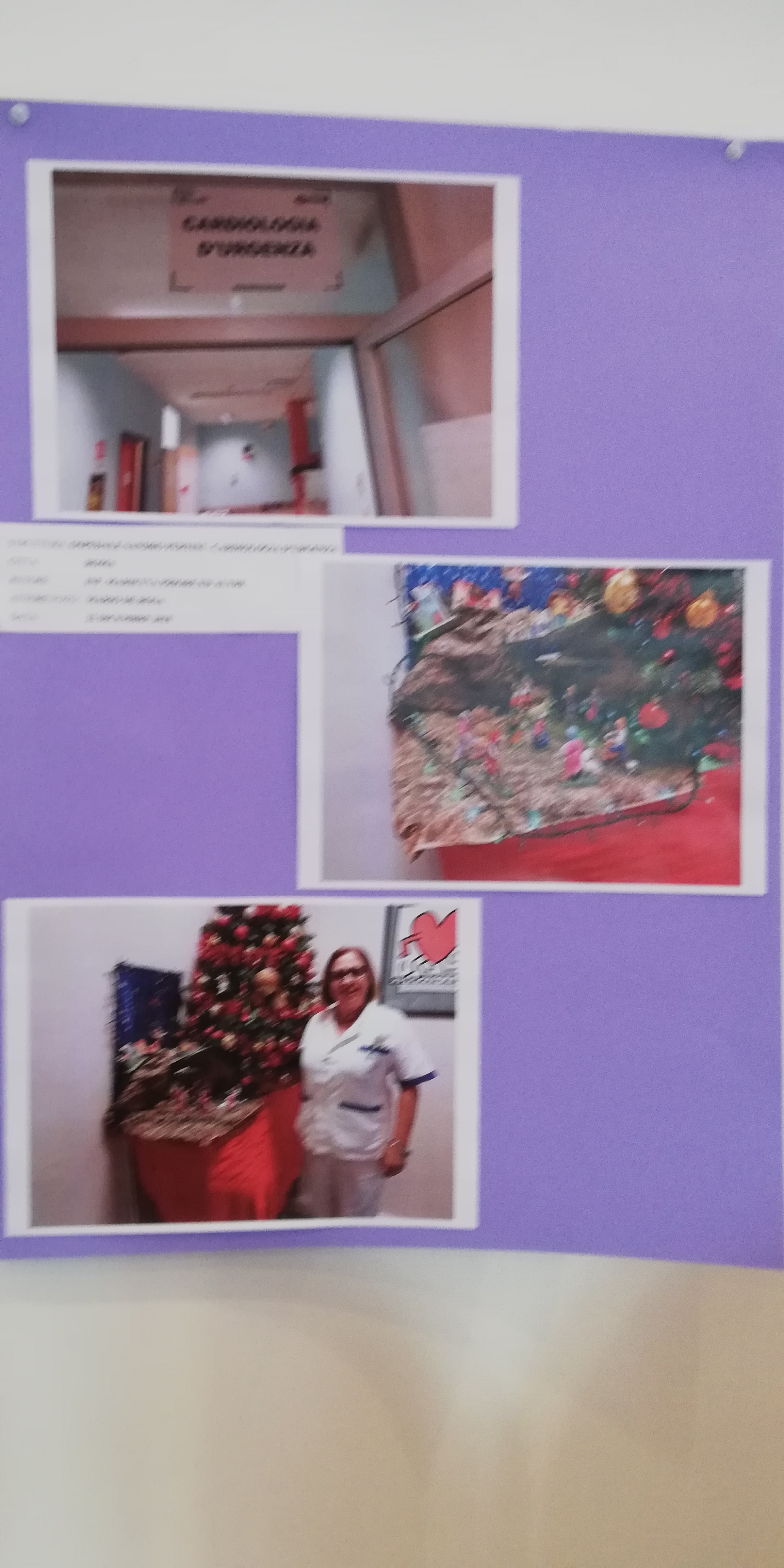 Immagine galleria 44