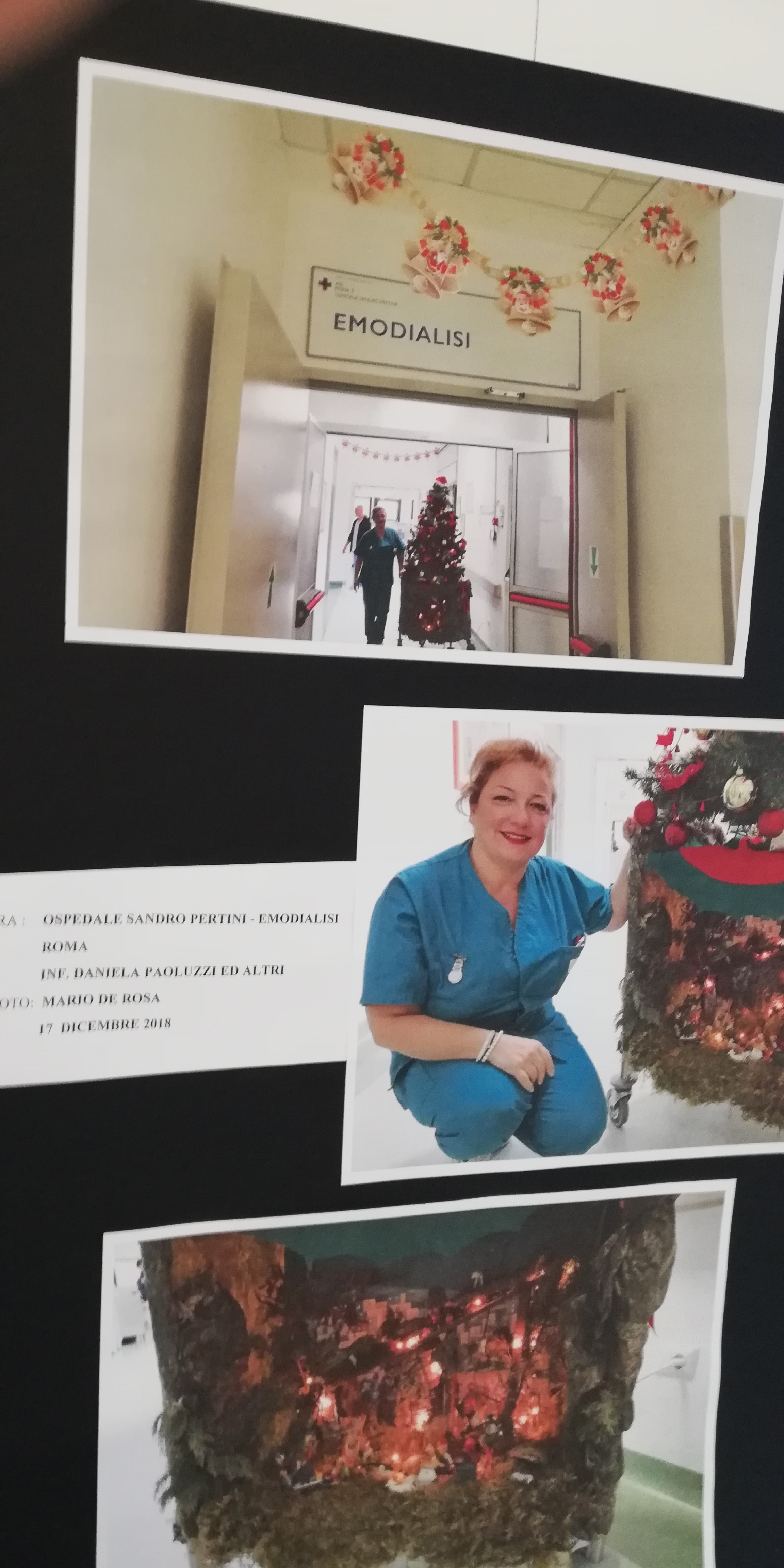 Immagine galleria 45