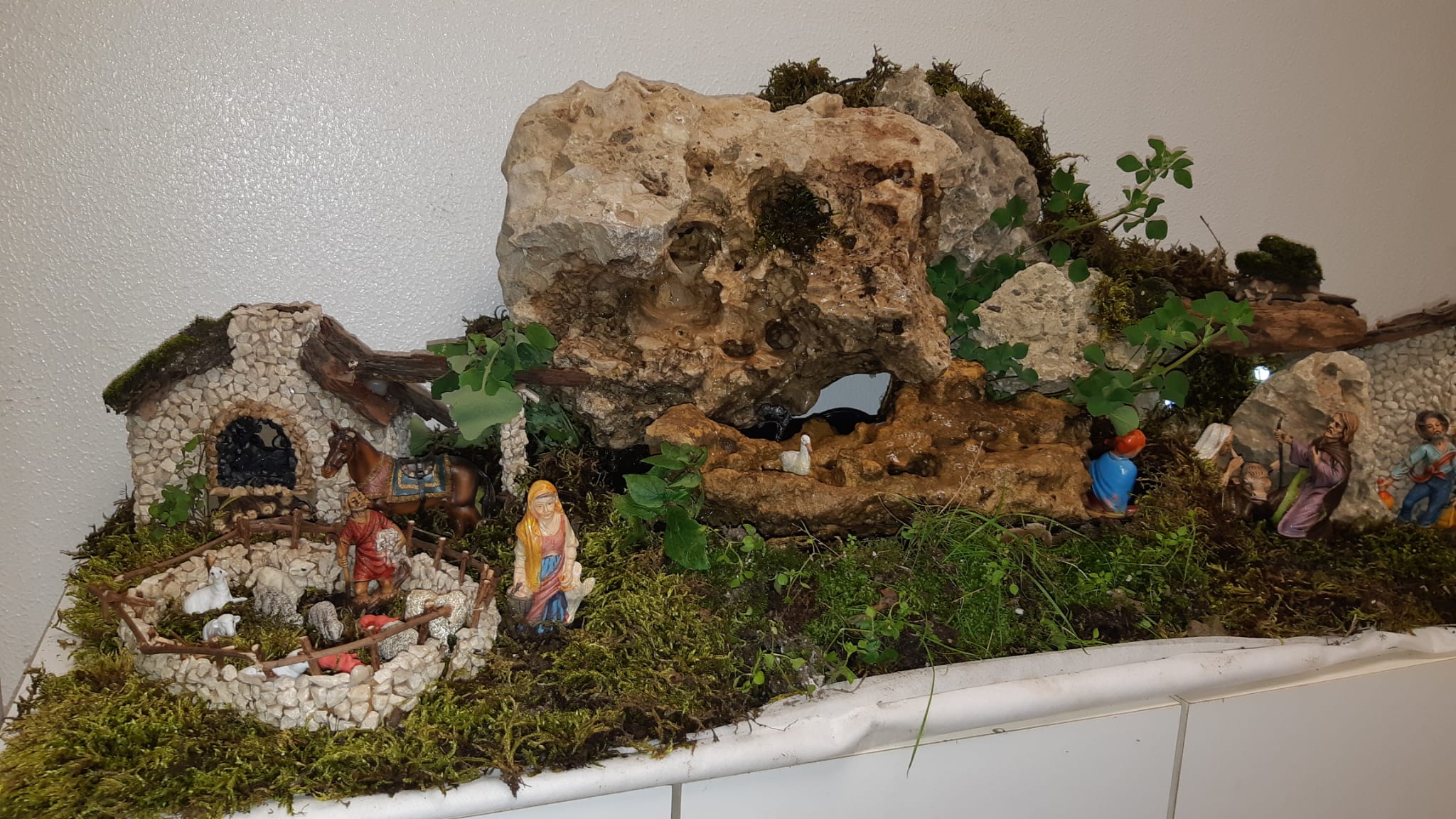 Immagine galleria 54